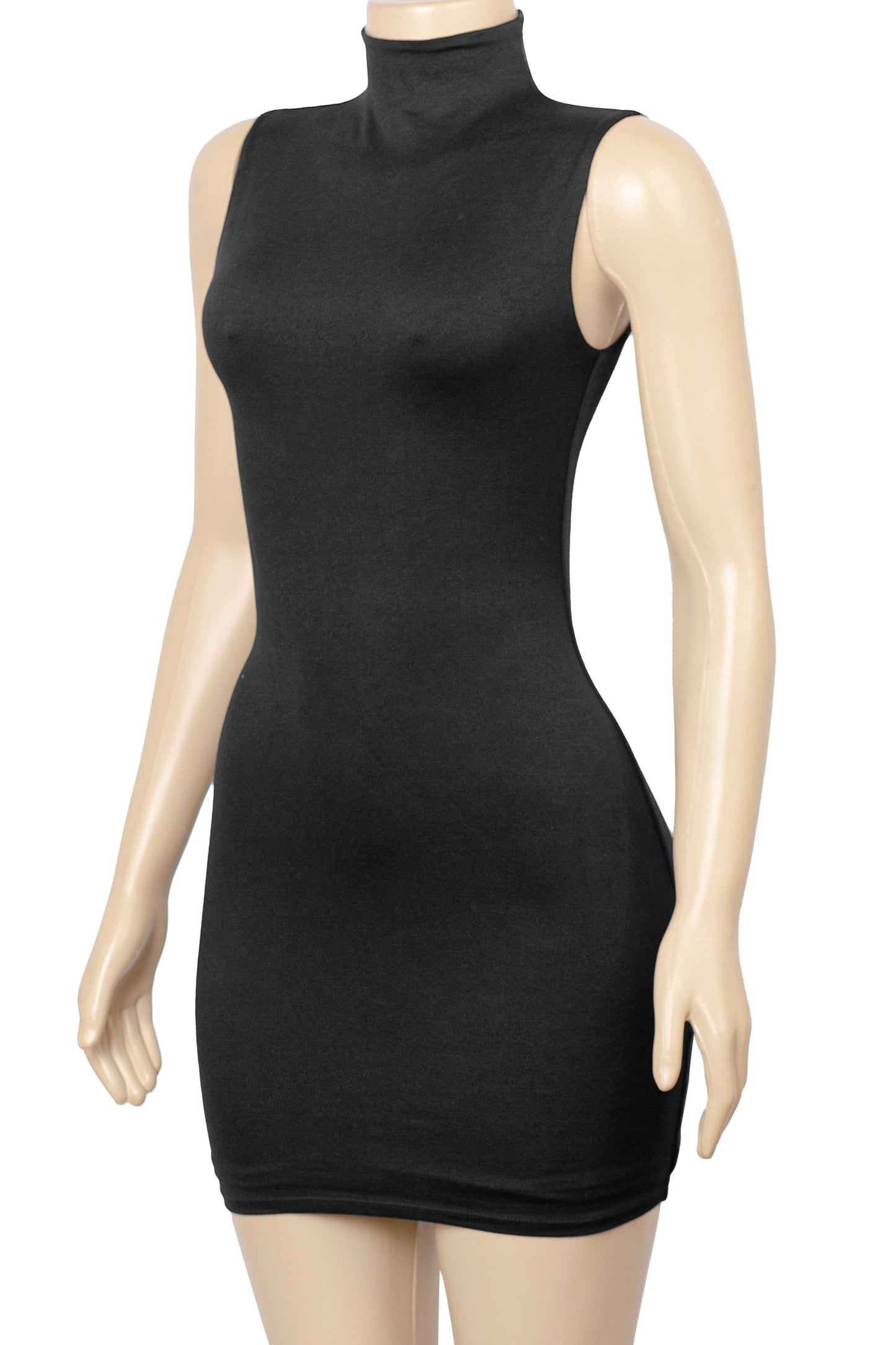 LILAH TURTLENECK MINI DRESS