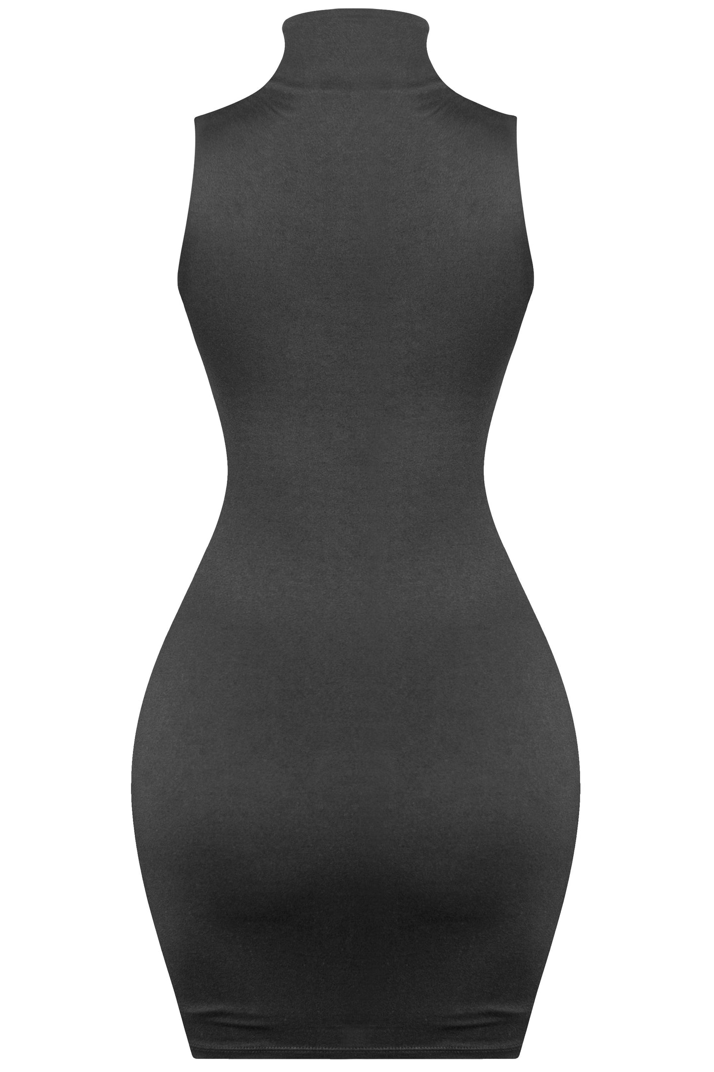 LILAH TURTLENECK MINI DRESS