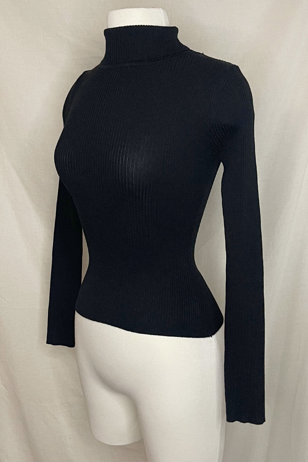 ELIZA TURTLENECK RIBBED TOP